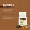 fat gaj kesari benefits