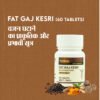fat gaj kesari tablets